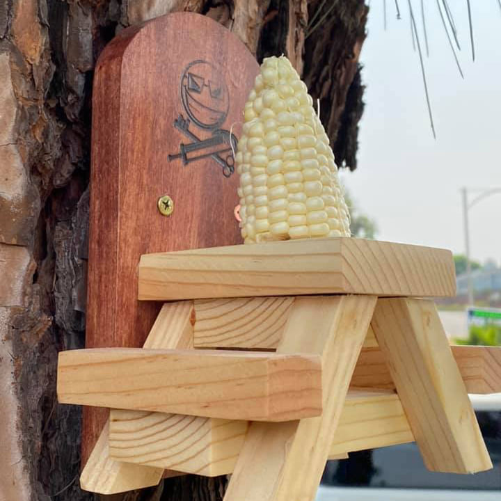 Hanging Squirrel Picnic Table